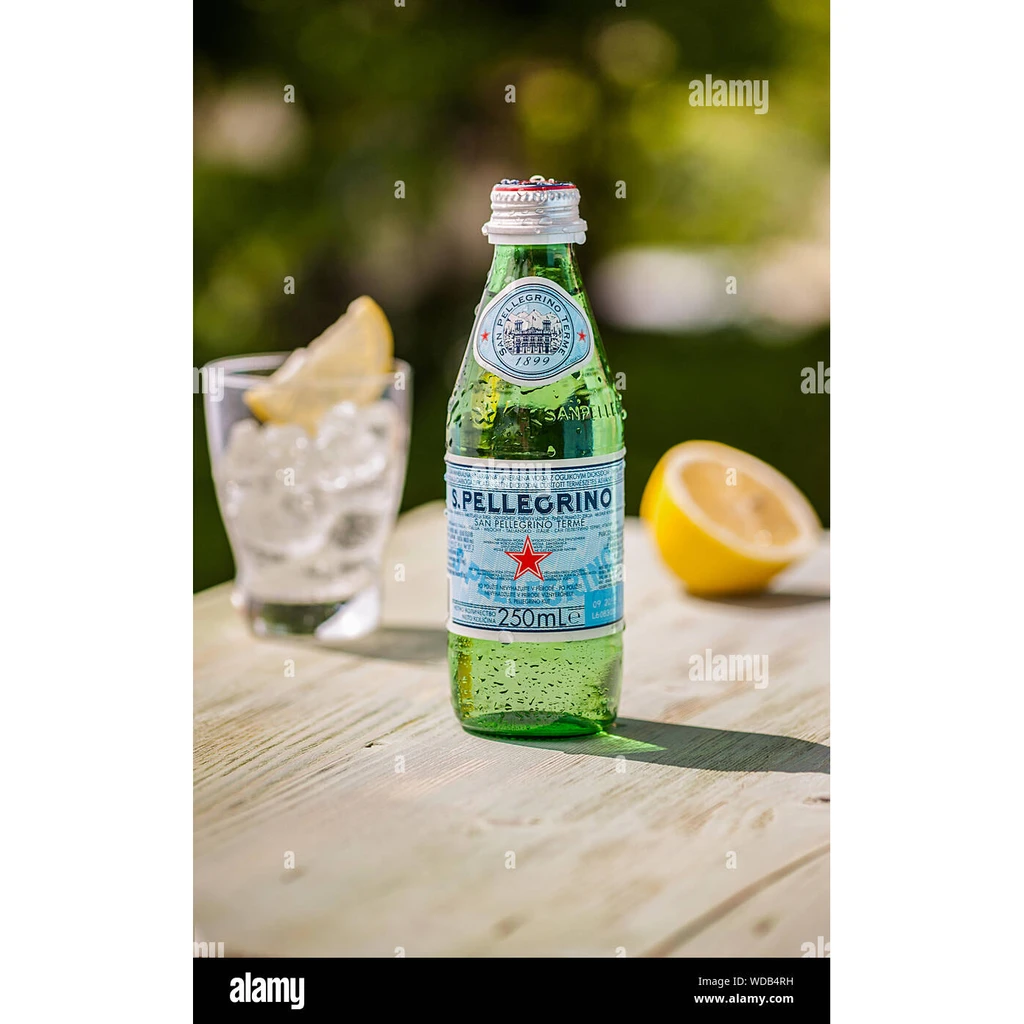 San Pellegrino S. Pellegrino Sparkling Natural Mineral Water catalog identity card; not package photography